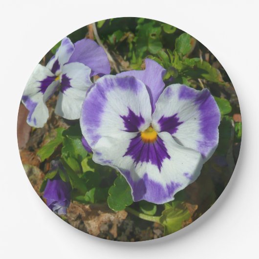 Assiettes En Carton Floral Purple and White Pansies (Devant)