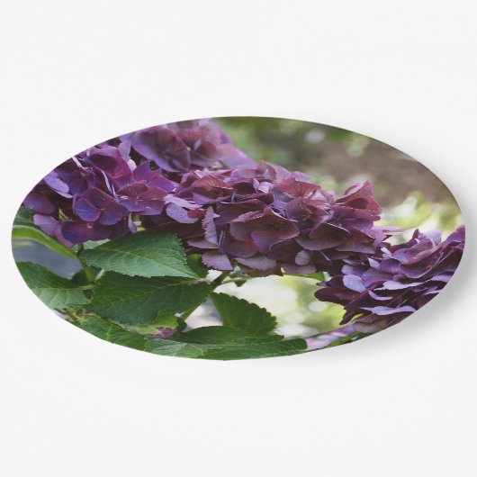 Assiettes En Carton Floral Violet rouge Hydrangea (Angle)