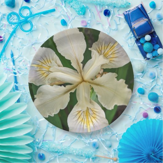 Assiettes En Carton Flore blanche sans ours d'Iris (Fête)