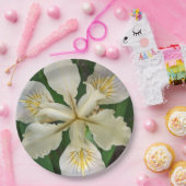 Assiettes En Carton Flore blanche sans ours d'Iris (Fête)