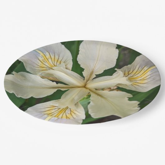 Assiettes En Carton Flore blanche sans ours d'Iris (Angle)