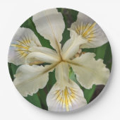 Assiettes En Carton Flore blanche sans ours d'Iris (Devant)