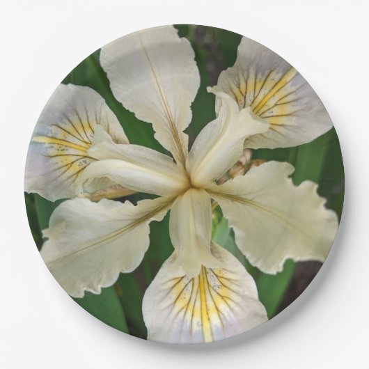 Assiettes En Carton Flore blanche sans ours d'Iris (Devant)