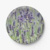 Assiettes En Carton Flore de la lavande (Devant)