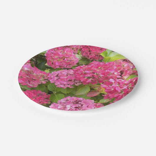 Assiettes En Carton Flore rose d'Hydrangée (Angle)