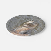 Assiettes En Carton Flotteur de dos de loutre (Angle)