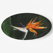Assiettes En Carton Flower tropical orange paradise (Angle)