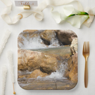 Assiettes En Carton Flux orageux au printemps
