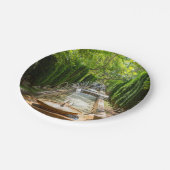 Assiettes En Carton Fontaine dans les jardins d'Almudaina - Palma de M (Angle)