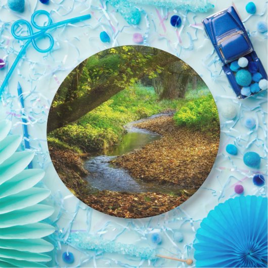 Assiettes En Carton Forest Creek Belle nature Paysage Photo (Fête)