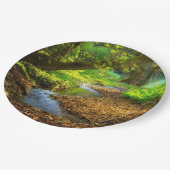 Assiettes En Carton Forest Creek Belle nature Paysage Photo (Angle)