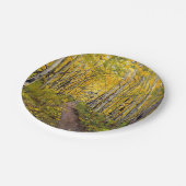 Assiettes En Carton Forêt d'Aspen (Angle)