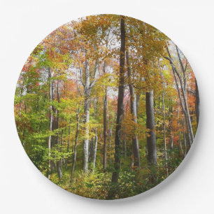 Assiettes En Carton Forêt d'automne I Photographie de paysage automnal