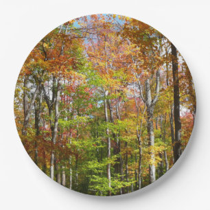 Assiettes En Carton Forêt d'automne II Photographie de paysage automna
