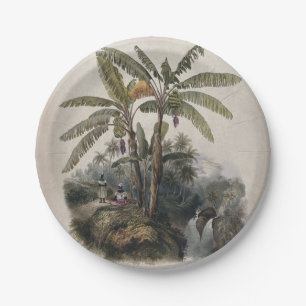 Assiettes En Carton Forêt de bananiers tropicaux antiques Bota vinta