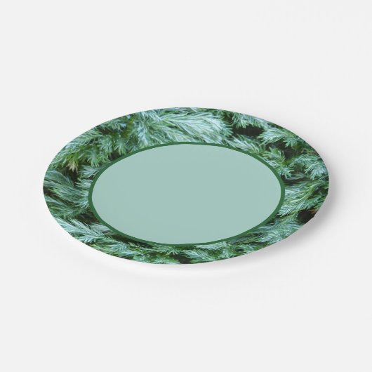 Assiettes En Carton Forêt forestière Végétation (Angle)