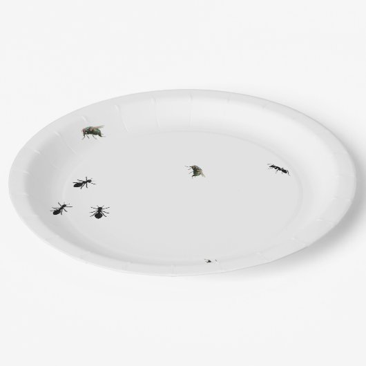 Assiettes En Carton Fourmis Et Mouches (Angle)