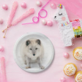 Assiettes En Carton Fox Artic (Fête)