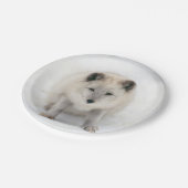 Assiettes En Carton Fox Artic (Angle)