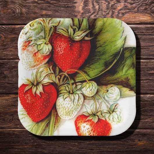 Assiettes En Carton fraise vintage