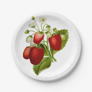 Assiettes En Carton Fraise vintage