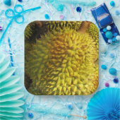 Assiettes En Carton Fruit durian (Fête)