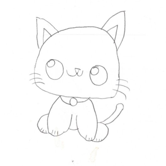 Assiettes En Carton Fun cat