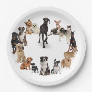 Assiettes En Carton Fun Chien race Animaux de compagnie chien Nom pers