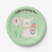 Assiettes En Carton Fun Llama Fun Lime Green fête d'anniversaire (Devant)