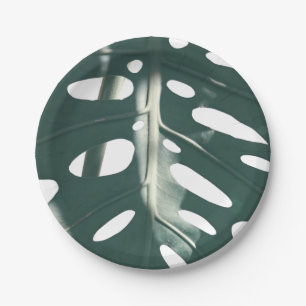 Assiettes En Carton Funky Pale Green Plante de fromage suisse