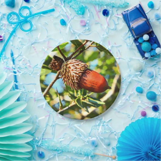 Assiettes En Carton Galilee Acorn (Fête)