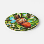 Assiettes En Carton Galilee Acorn (Angle)