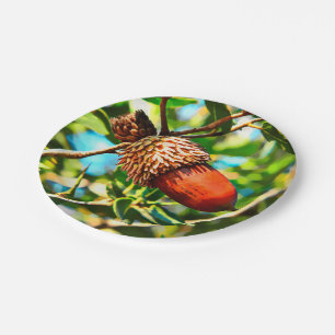 Assiettes En Carton Galilee Acorn