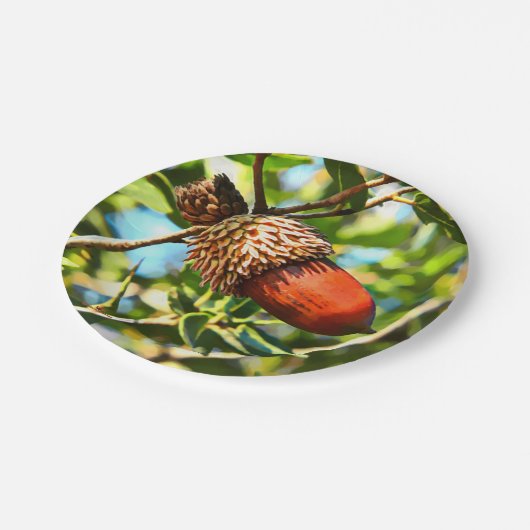 Assiettes En Carton Galilee Acorn (Angle)