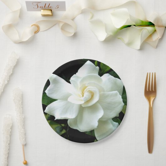 Assiettes En Carton Gardenia (Mariage)