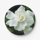 Assiettes En Carton Gardenia (Devant)