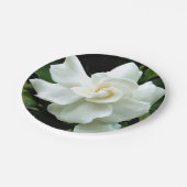 Assiettes En Carton Gardenia (Angle)