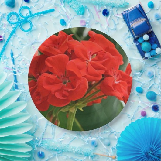 Assiettes En Carton Géranium rouge (Fête)