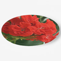 Géranium rouge