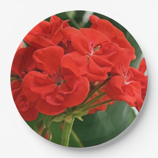 Assiettes En Carton Géranium rouge (Devant)