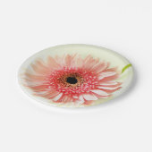 Assiettes En Carton Gerbera Daisy (Angle)