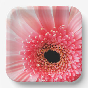 Assiettes En Carton Gerbera Daisy