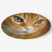 Assiettes En Carton Gingembre adorable Tabby Chat Poster Portrait anim (Angle)