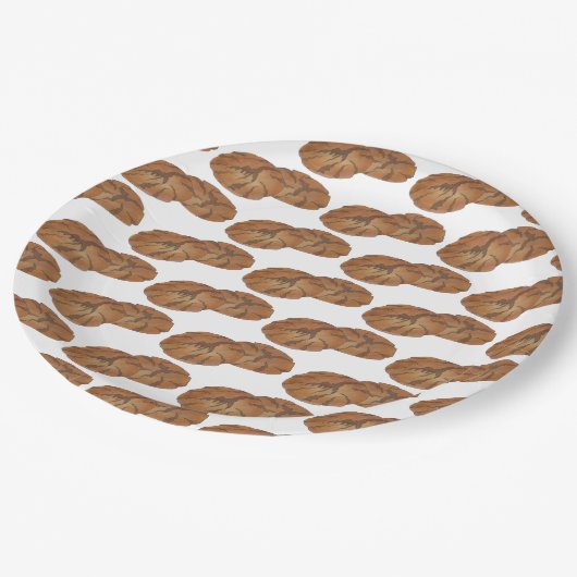 Assiettes En Carton Gingersnap Gingersnap Biscuit Ginger Nut cookies (Angle)