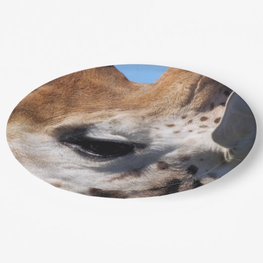 ASSIETTES EN CARTON GIRAFFE (Angle)