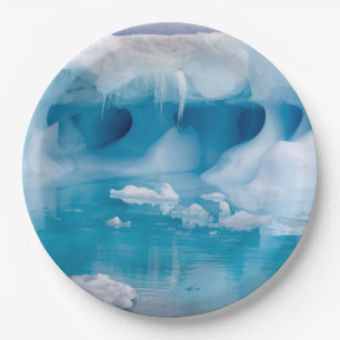 Assiettes En Carton Glace en Antarctique