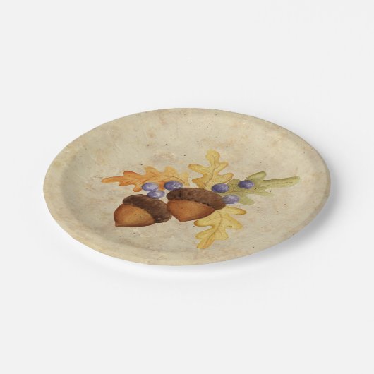 Assiettes En Carton Gland (Angle)