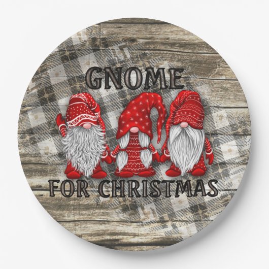 Assiettes En Carton Gnome Pour Noël Plaid Rustic Country Farmhouse (Devant)
