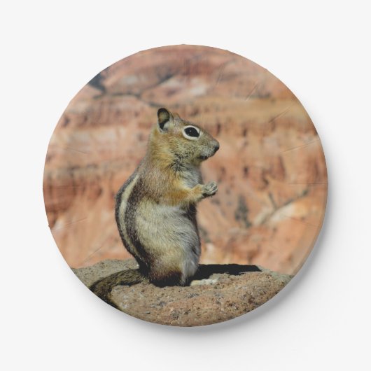 Assiettes En Carton Golden Mantled Ground Squirrel (Devant)