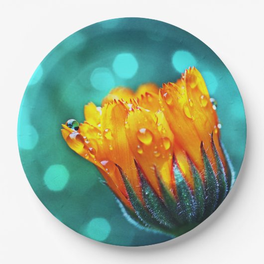 Assiettes En Carton Golden Marigold sur Turquoise Bokeh (Devant)